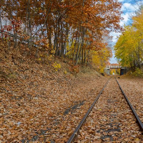 Get Your Fall Foliage Fix on These Beautiful Train Rides Across the U.S