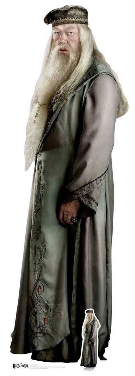 Professor Severus Snape from Harry Potter Lifesize Cardboard Cutout buy