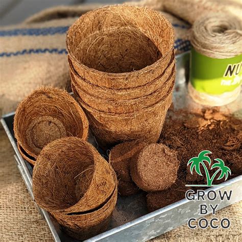 Why Coir Pots? - Grow By Coco