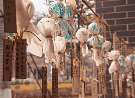 paper doll      paper doll stock  hd