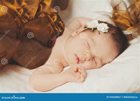 newborn baby portrait cute  girl stock image image  funny