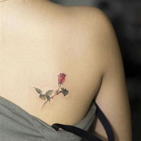 Tatuagem Nas Costa Pequena