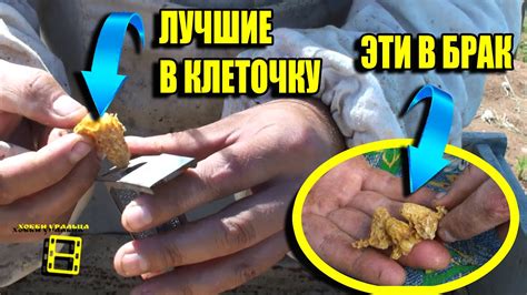 ОТВОДКИ ПЧЕЛ. МАТОЧНИКИ В КЛЕТОЧКИ - ПОРОЙКОВ НЕ БУДЕТ. ЛЮБИТЕЛЬСКОЕ ...