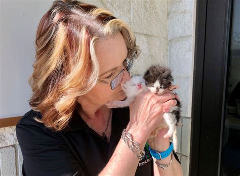 Animal Services | DeSoto County, MS - Official Website