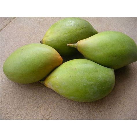 raw mango  kilogram fresh fruit  chennai id