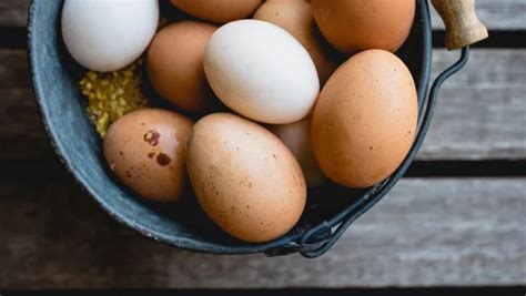 eieren kopen bij de boer hier kun je terecht