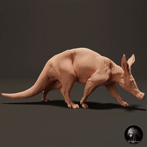 Cerdo hormiguero – dinosauriacreatures