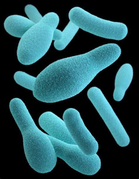 Controlling Botulinum - Express Micro Science