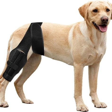 VISALY Dog Knee Brace for Hind and Rear Leg, Support for Dog ACL CCL