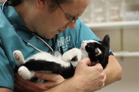 Today’s veterinary students say they want to be tomorrow’s shelter