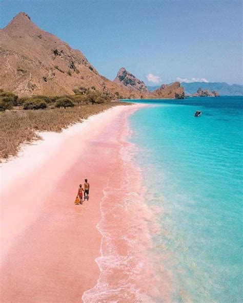pink beach  labuan bajo   pink beach  indonesia artofit