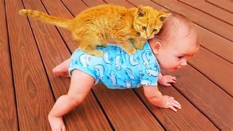 Cute Baby and Cats Playing Together - Baby and Pet | Life Funny Pets ...