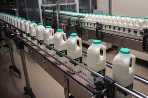 medina dairy announces investment programme dairy industries