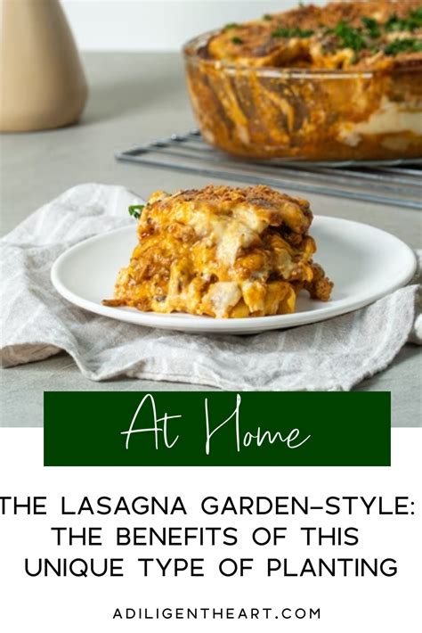 The lasagna garden style the benefits of this unique type of planting