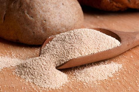 How does instant dry yeast achieve fast fermentation? - JustLong