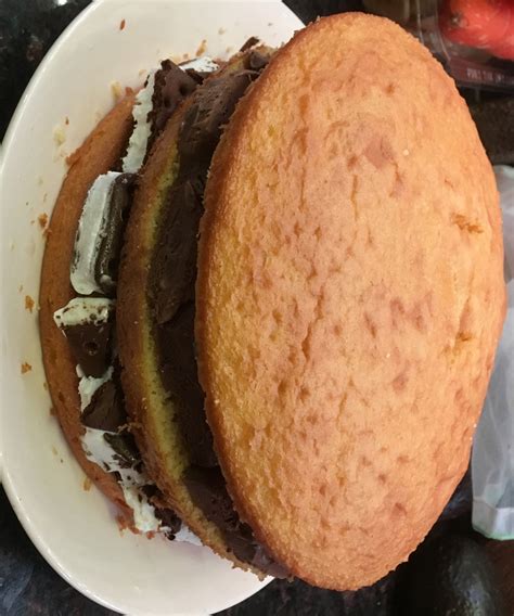 sandwich ice cream cake 6