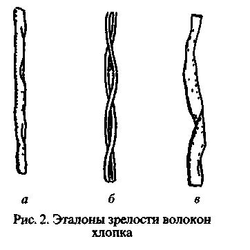 Классификация волокон
