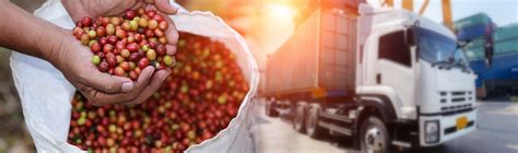 alumni spotlight career  commodity trade logistics