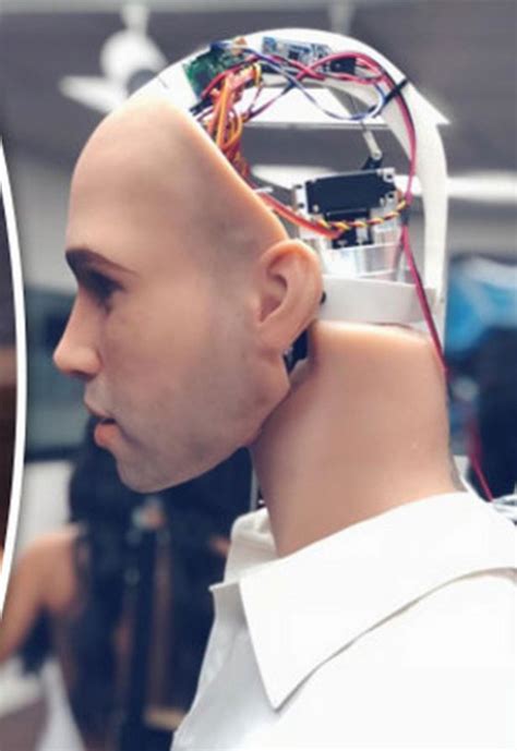 peek  worlds  male sex robot  custom bionic penis
