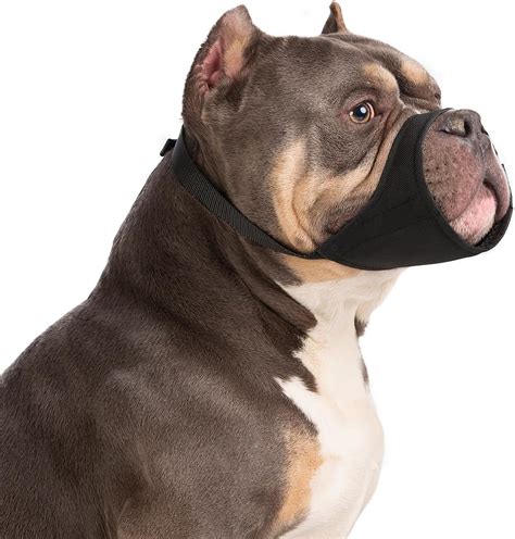 amazoncom winmany large medium dog muzzles short snout dogs muzzle