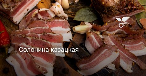 Солонина казацкая — Ботаничка