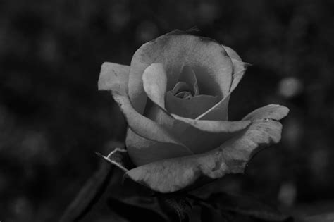 By Any Other Name… – Candid Camera Photography