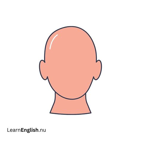head parts   english  picture learn english