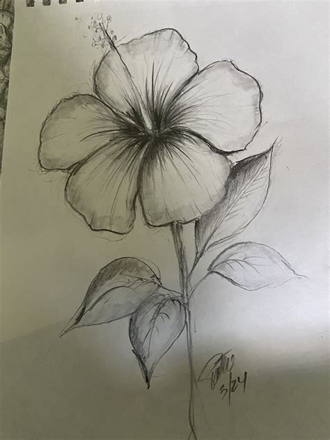 easy flower sketches 4