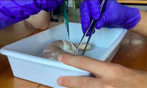 PRÁCTICAS EN BIOLOGÍA Y GEOLOGÍA