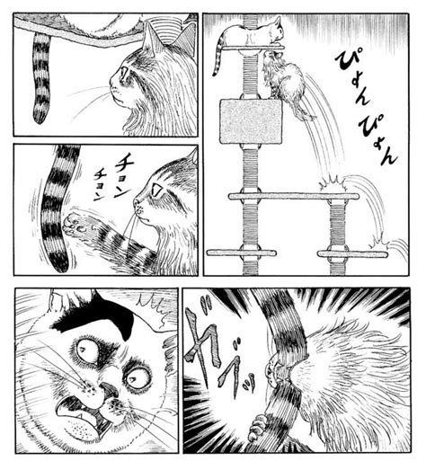 junji ito - cats diary : r/manga