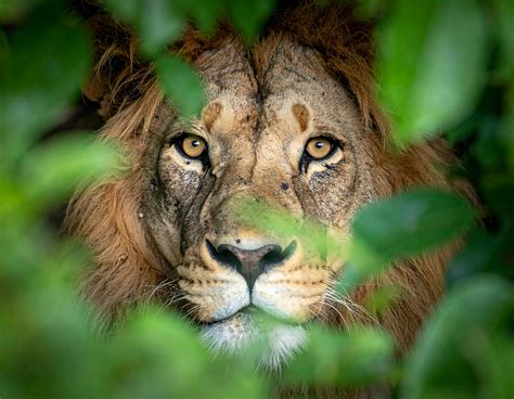 102.566+ Fotos y Imágenes de Mujeres+con+tetas+grandes+desnudas Gratis