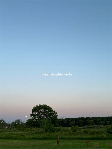 mya micol (@myamicol) - Urlebird