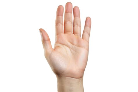 open hand palm  gesture  png