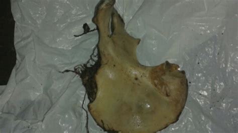 Human remains discovered in Panama belong to missing Dutch girl - YouTube