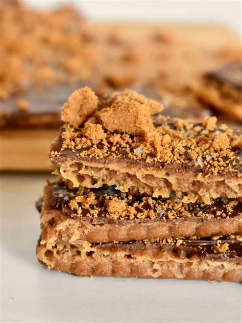 30+ Biscoff Recipes- Salt & Sweet