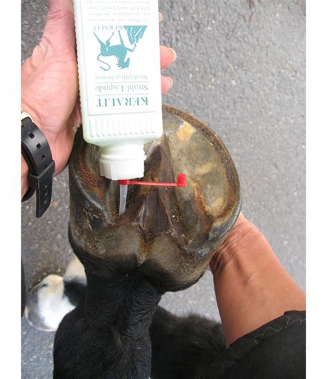Frog Liquid - Hoof Care Products - Kramer Equestrian