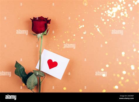 Red rose with message card Stock Photo - Alamy
