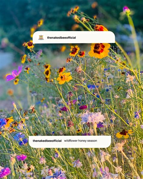 The Naked Bee (@thenakedbeeofficial) • Instagram photos and videos