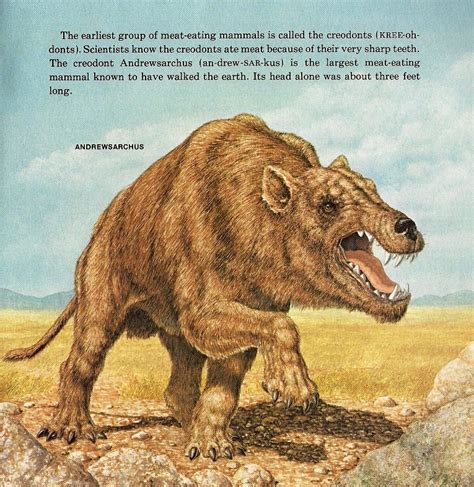 Andrewsarchus, Peter Zallinger 1978 by WDGHK on DeviantArt