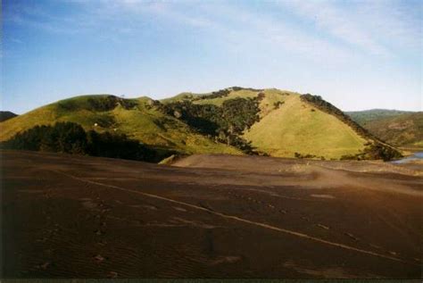 Xena and Hercules Locations - Waiti valley