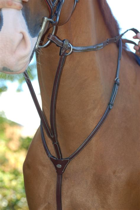 Martingales Breastplates – County Farm Tack Store