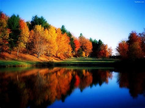 Chella's Musings: Landscapes