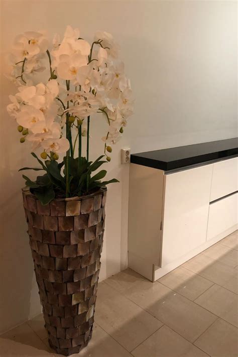 Schelpenvaas bruin hoog met orchideeën | Orchideeën, Orchidee, Handgemaakt
