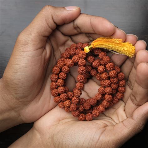 rudraksha types isha