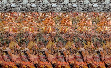 Стереокартинки + 3 способа которые позволяют рассмотреть их