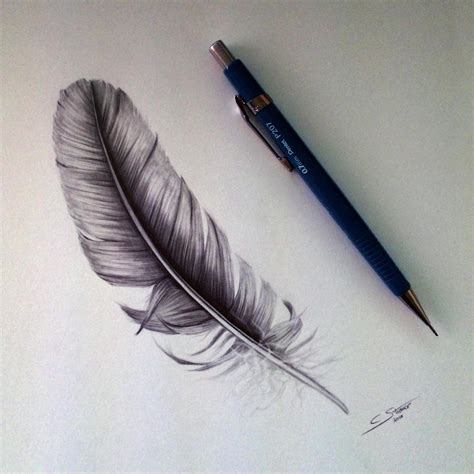 Feather Drawing Study by LethalChris on DeviantArt