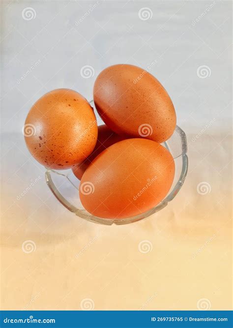 Chicken Eggs Have a Very High Protein Content Stock Image - Image of