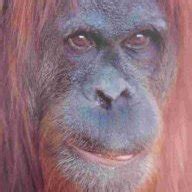 lad, chap, guy, bloke, lad, character, mate | WordReference Forums