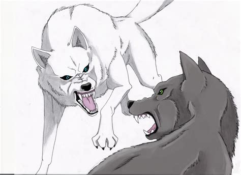 Wolves Fighting by HeyyitsKT on DeviantArt