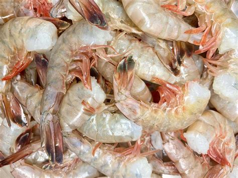 Is Gulf Shrimp Safe to Eat? The Complete Truth About Gulf Seafood